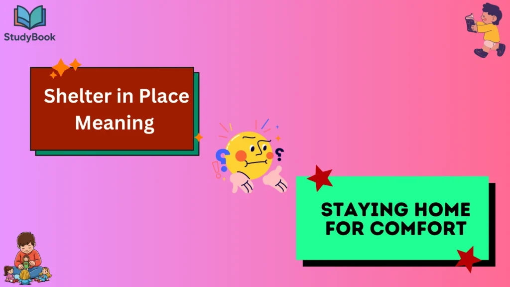 Shelter in Place Meaning Hilariously Explained