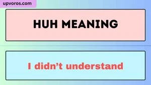 Huh Meaning