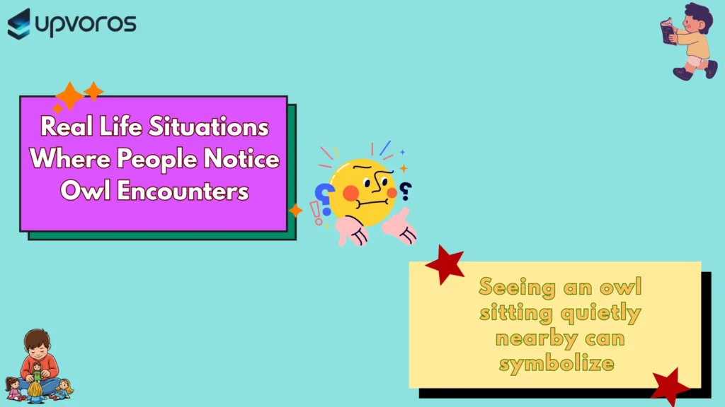 Real Life Situations Where People Notice Owl Encounters